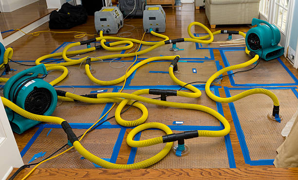 Professional Storm Water Damage Restoration technician working in Hookerton, NC