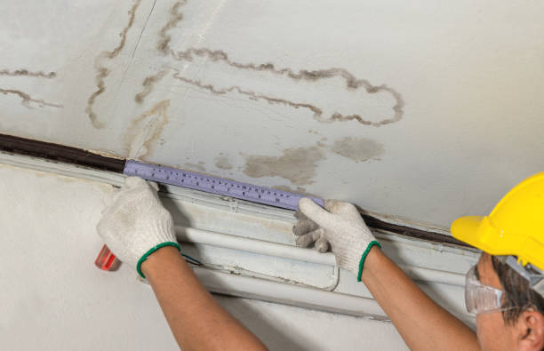 Affordable Water Damage Repair solutions in Hookerton, NC